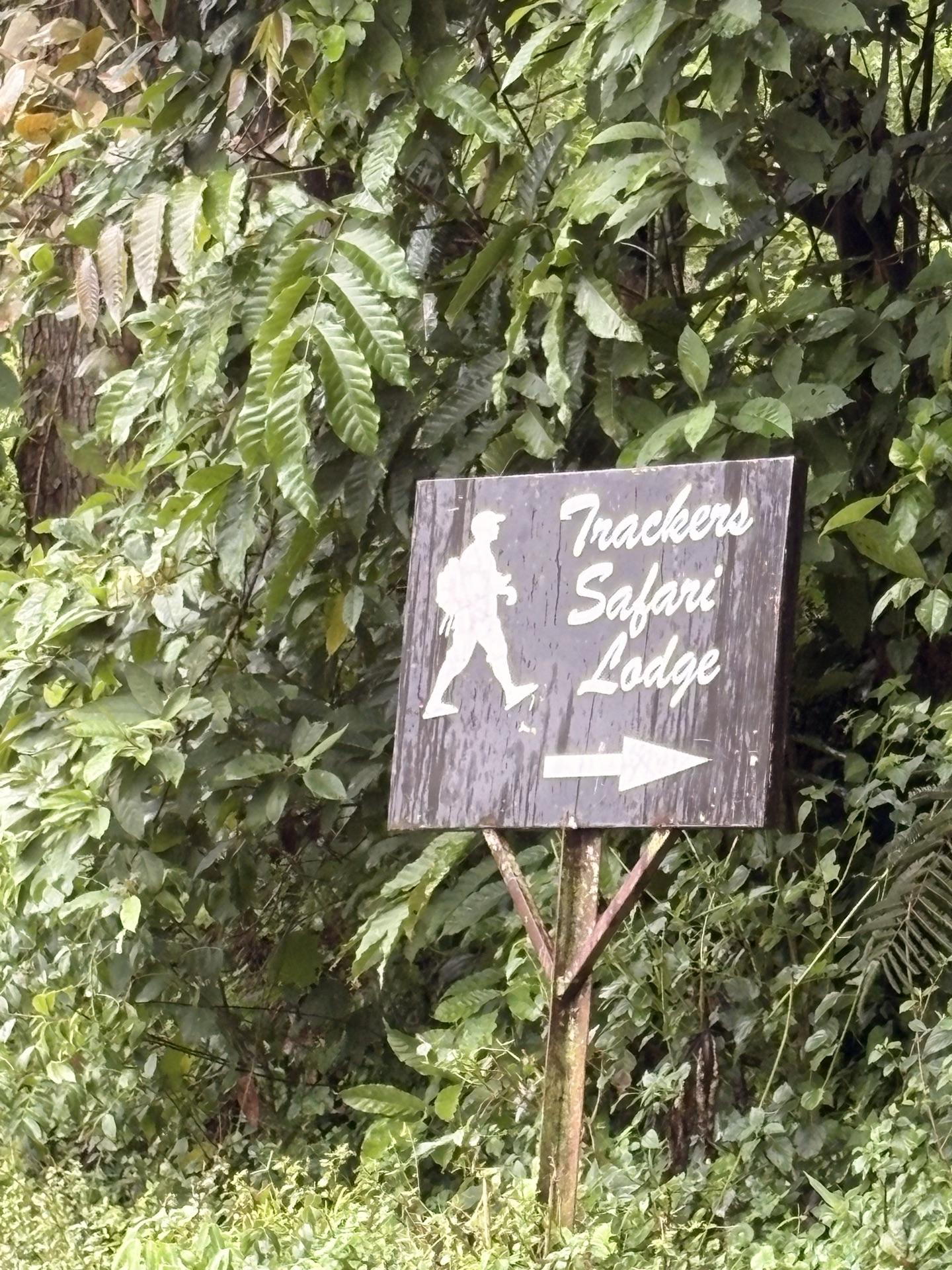 Trackers Safari Lodge — luxury lodge photo 2, Buhoma, Uganda